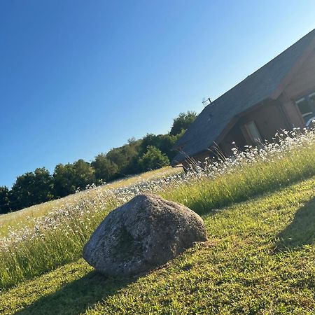 Cuddfan Lodge On A Gorgeous Private Lake Newport  Exterior foto