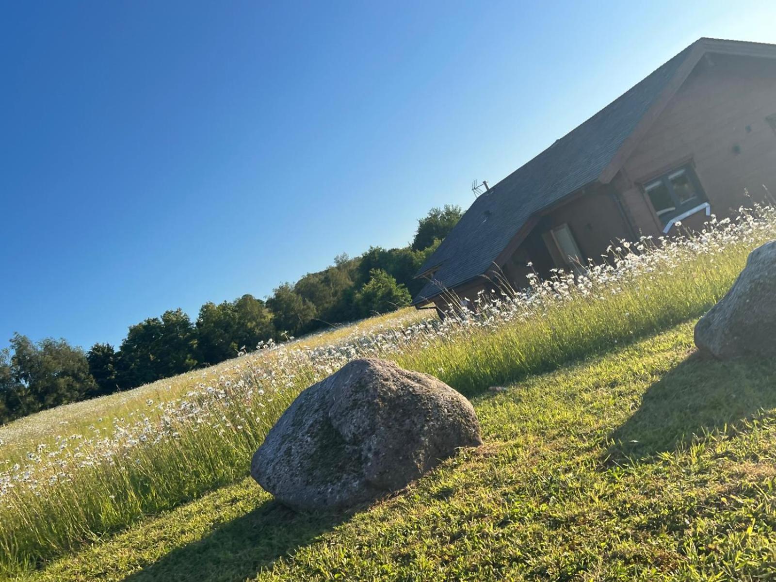 Cuddfan Lodge On A Gorgeous Private Lake Newport  Exterior foto